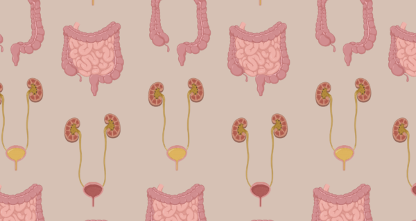 Mönster med anatomiska illustrationer av blåsa och tarm